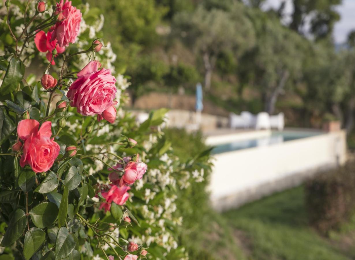 Villa Laura Capo dʼOrlando Exterior foto
