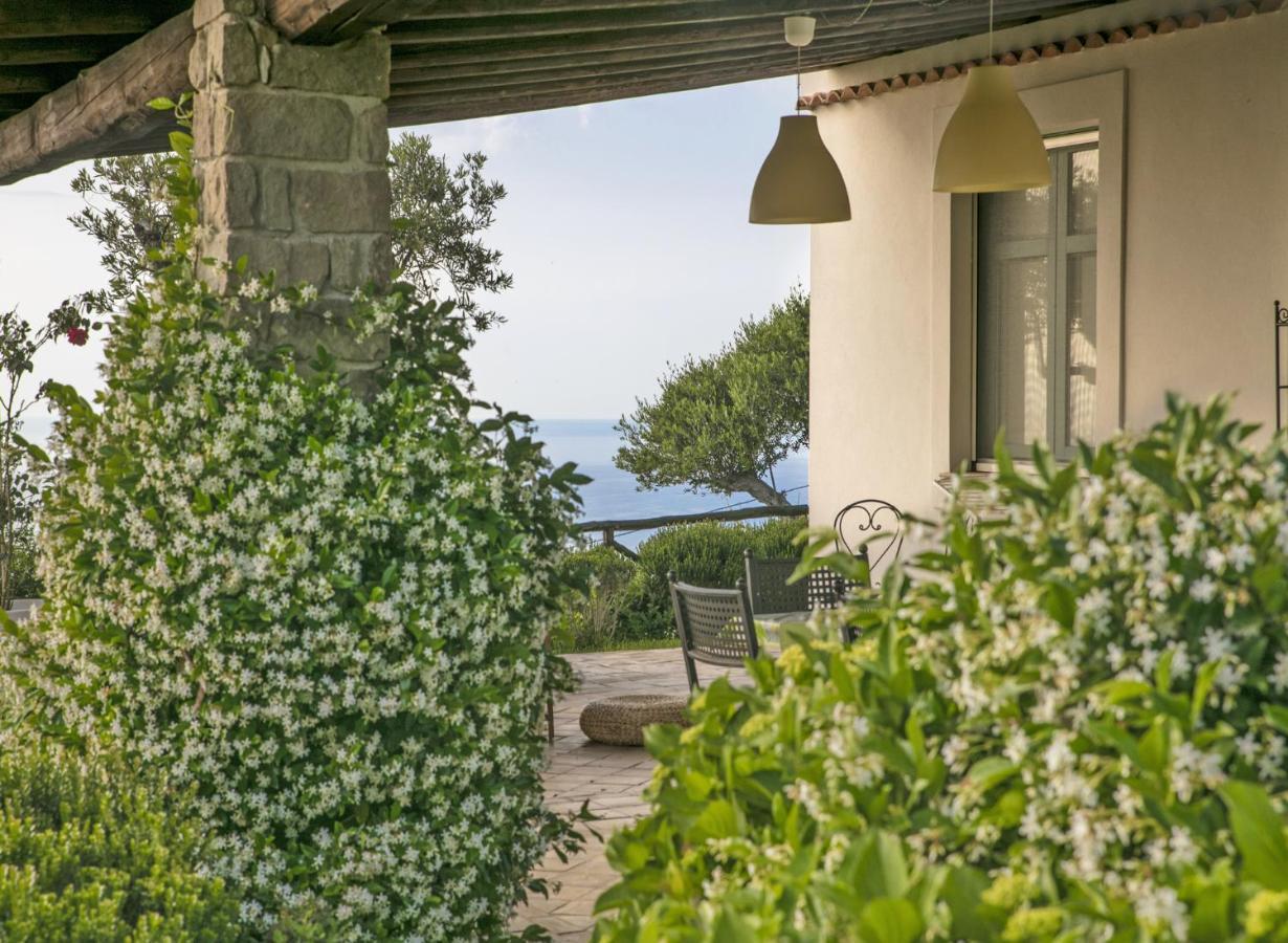 Villa Laura Capo dʼOrlando Exterior foto